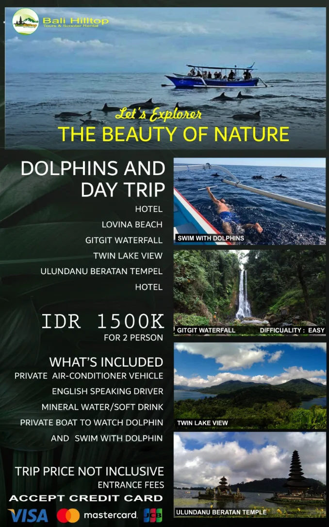 Dolphin Day Tour