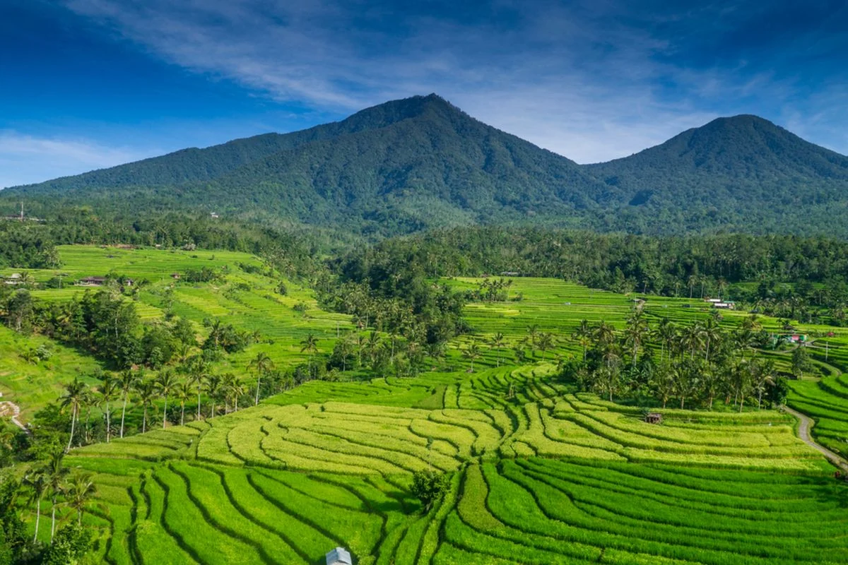Rice terraces and highland landscape in Bali